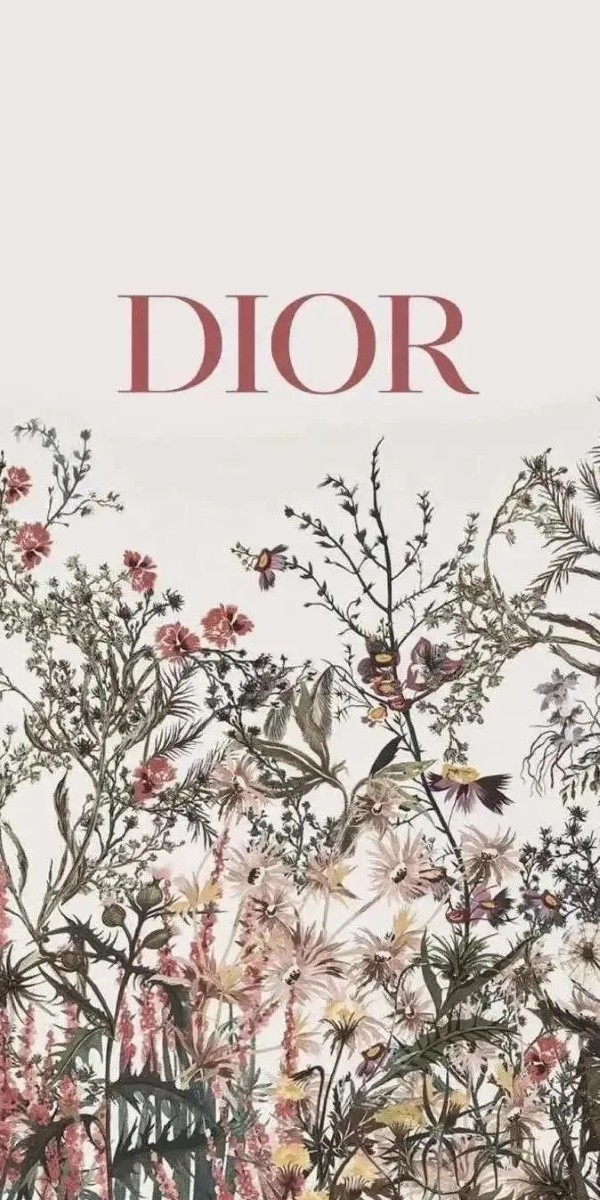 hình nền dior 11