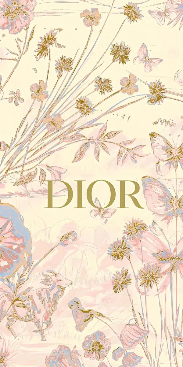 hình nền dior 12