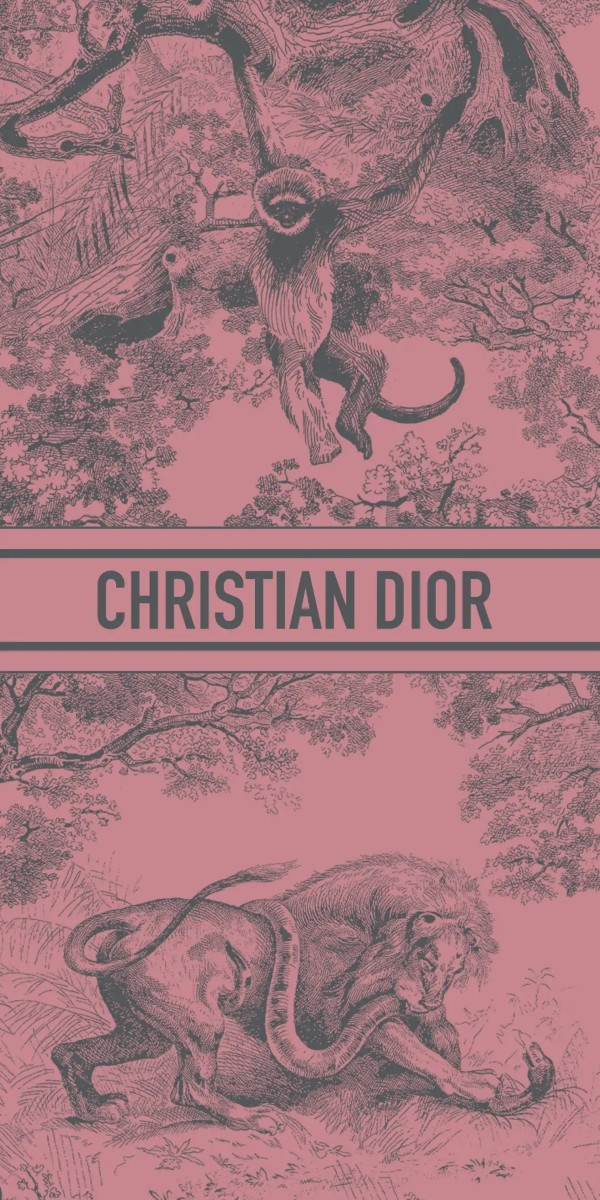 hình nền dior 14