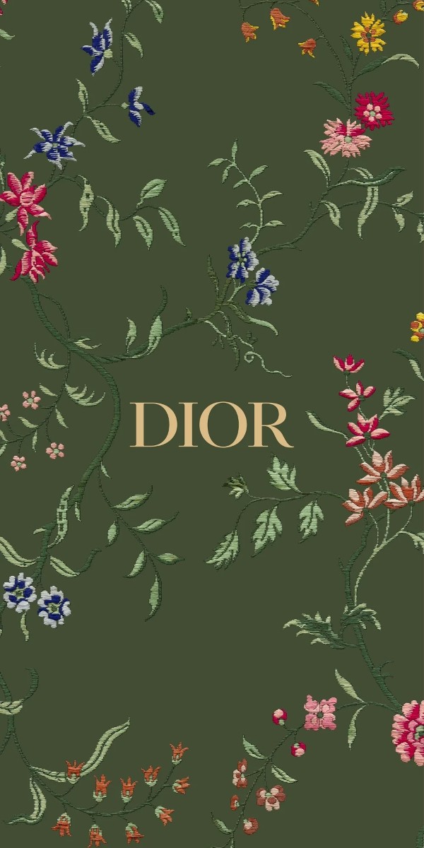 hình nền dior 16