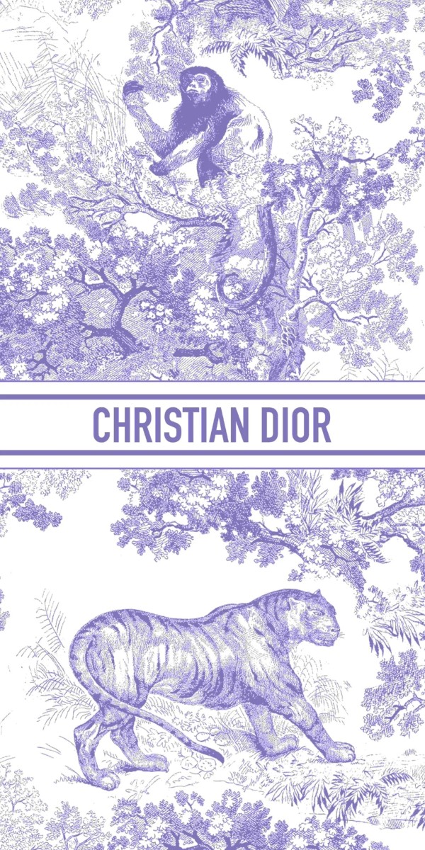 hình nền dior 20