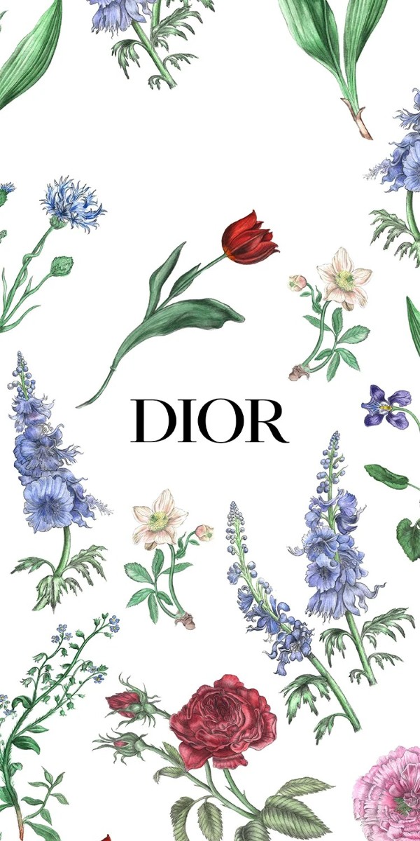 hình nền dior 22