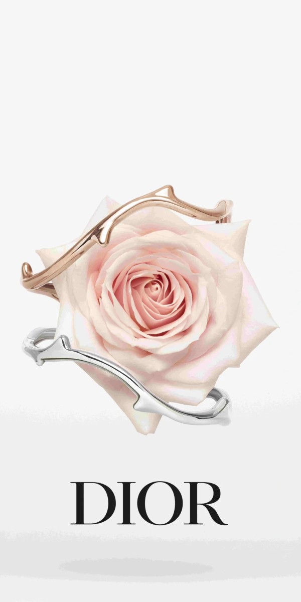 hình nền dior 23