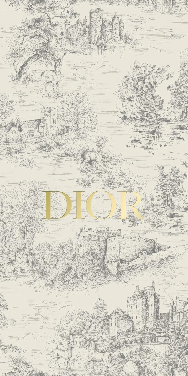 hình nền dior 24