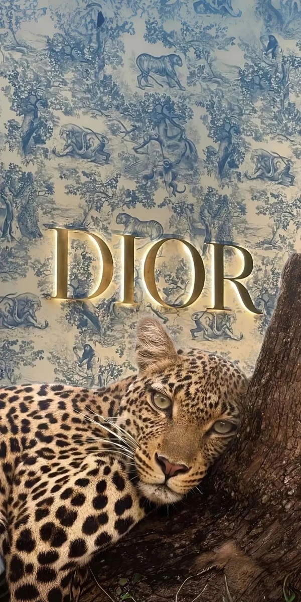 hình nền dior 28