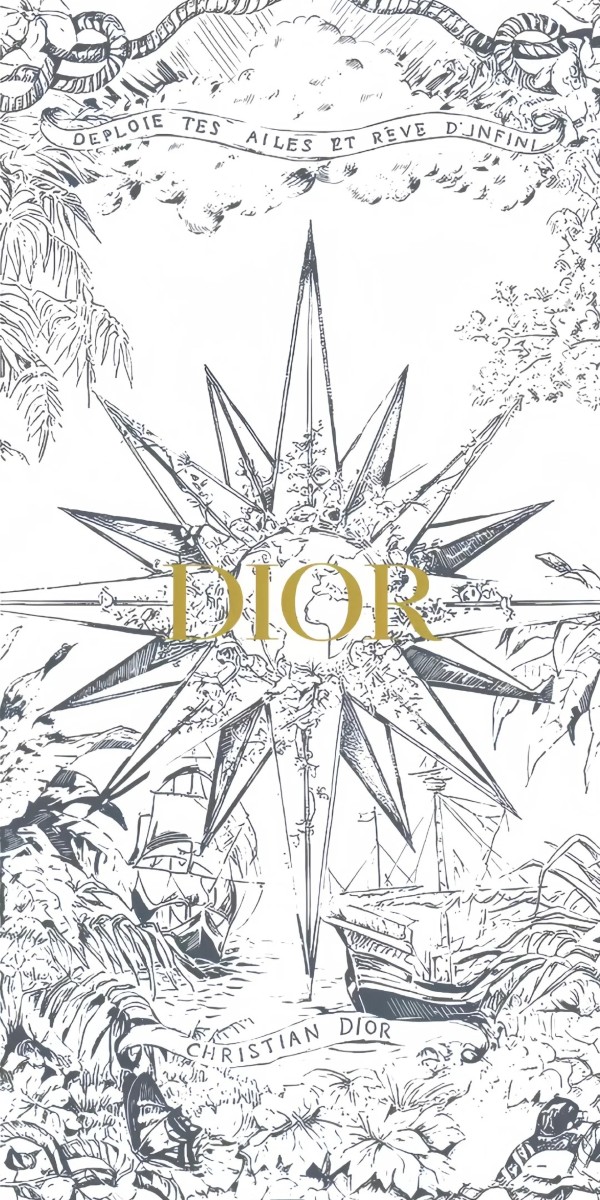 hình nền dior 3