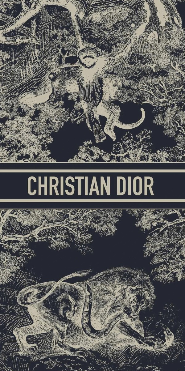 hình nền dior 30