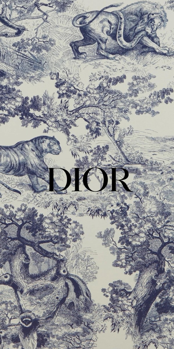 hình nền dior 31