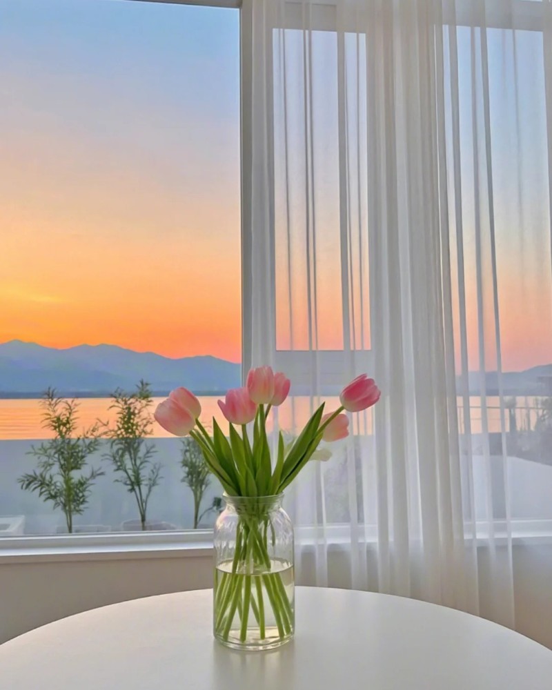 hình nền hoa tulip hồng 10