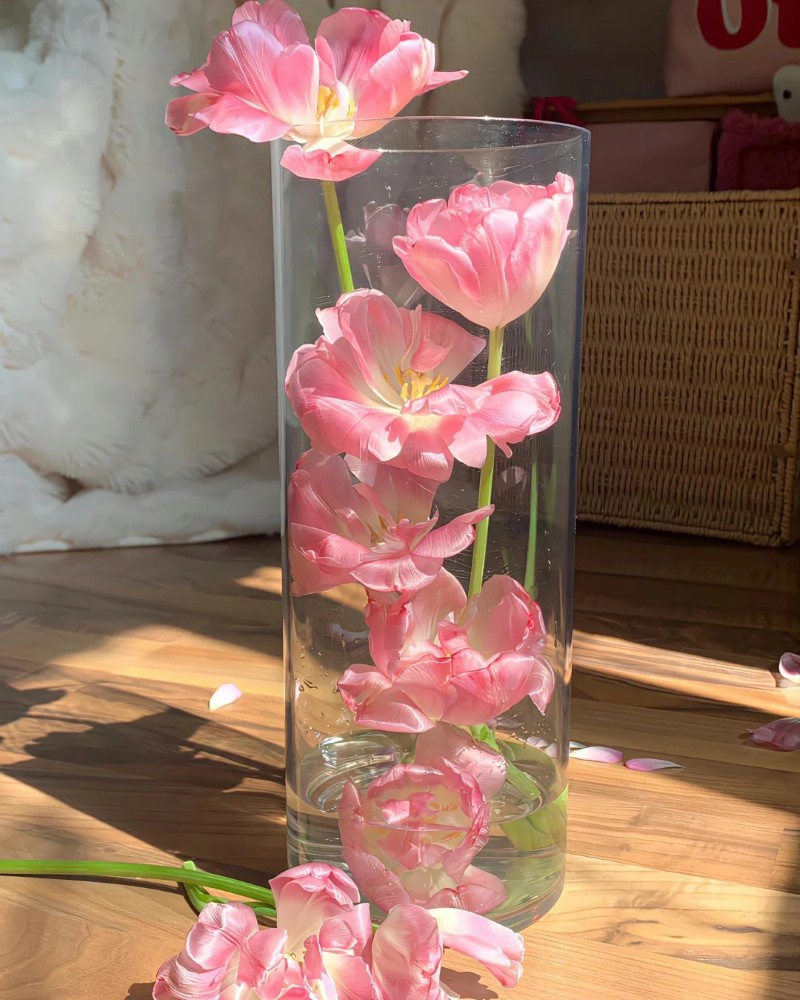 hình nền hoa tulip hồng 25