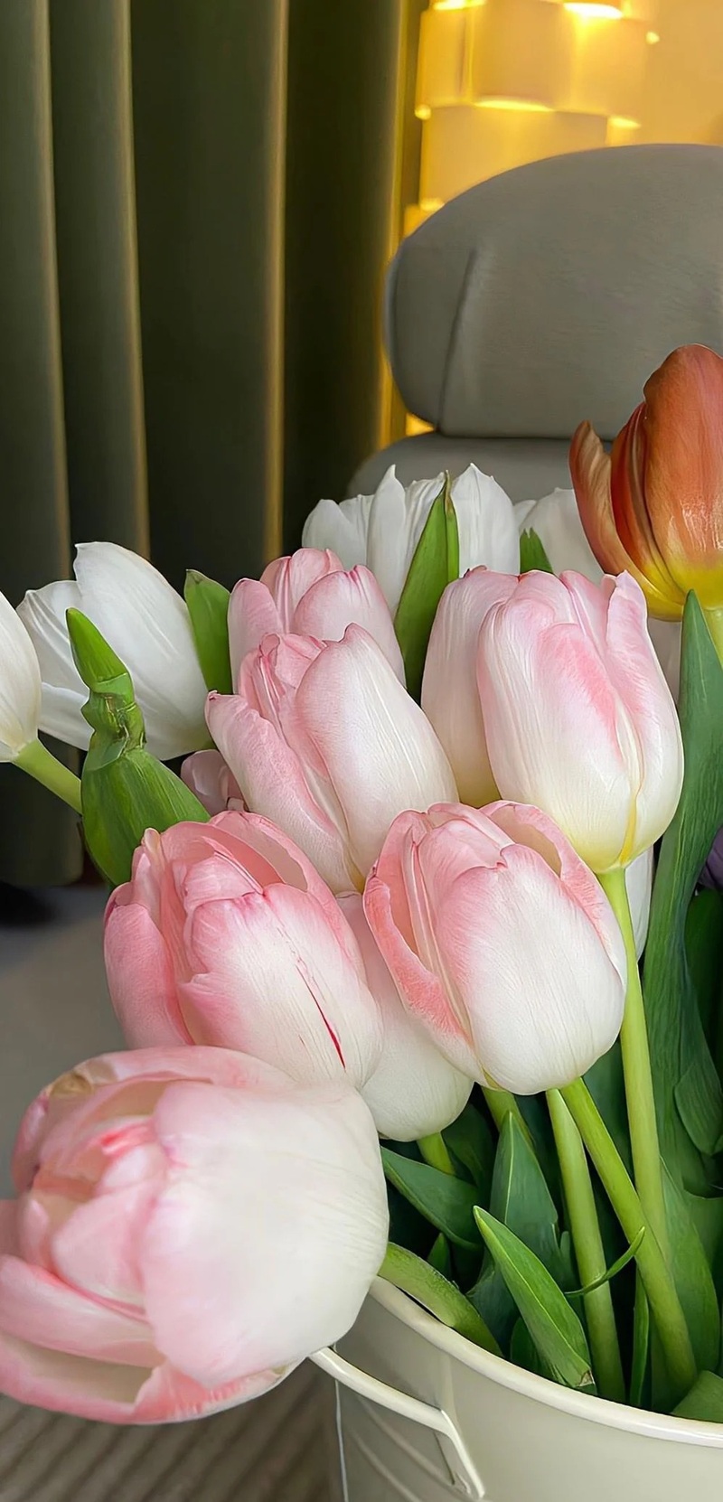 hình nền hoa tulip hồng 34
