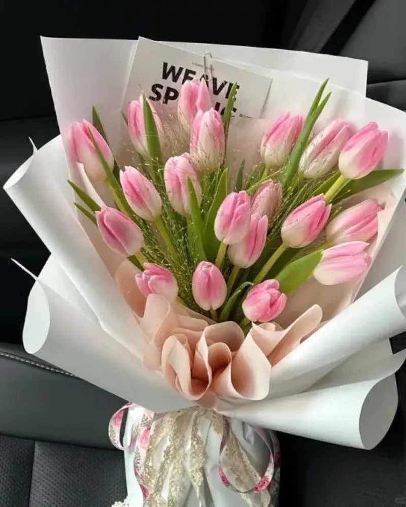 hình nền hoa tulip hồng 42