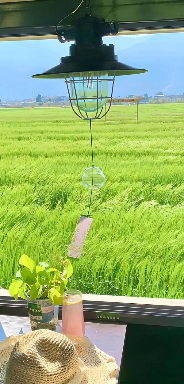 hình nền màu xanh lá 2