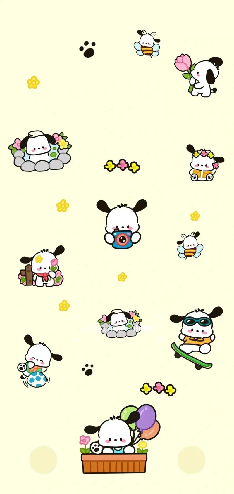 hình nền pochacco 11