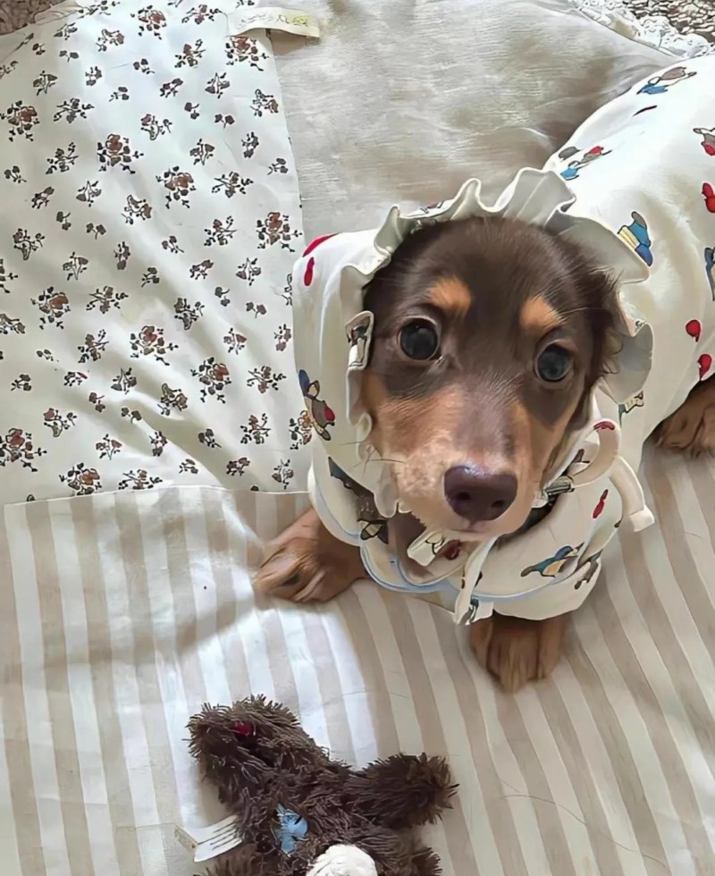 hình nền tik tok cute 23