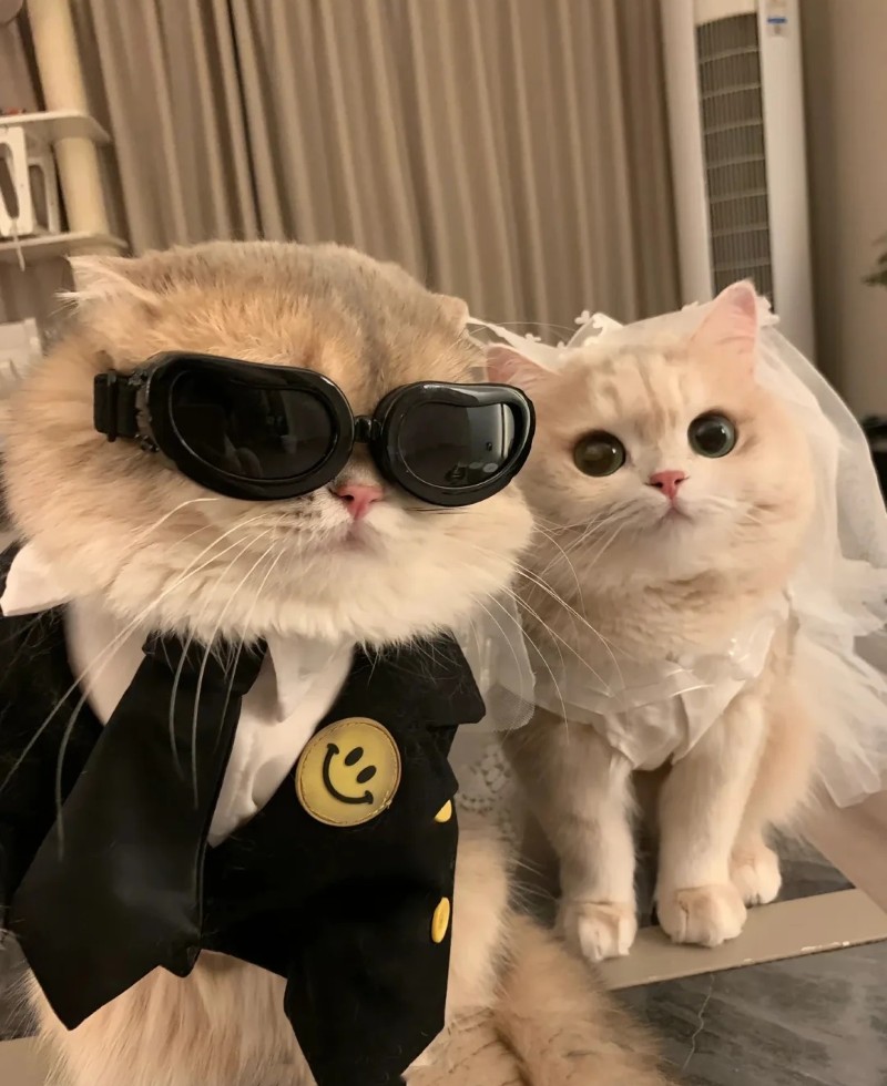 hình nền tình yêu cute 23