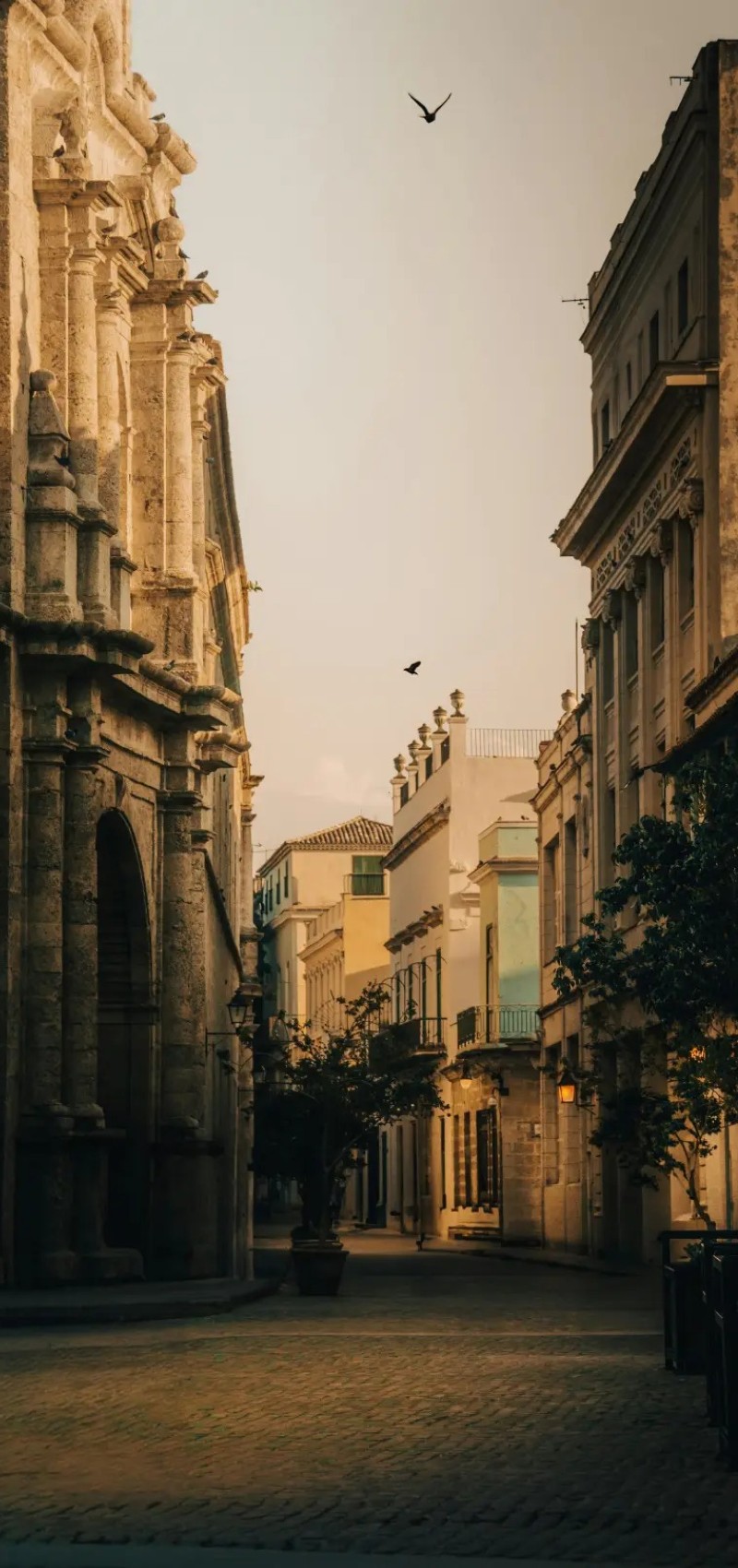 hình nền vintage 