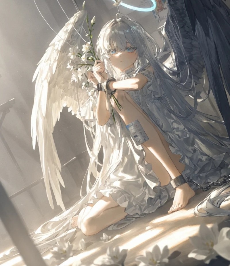 thiên thần anime 8