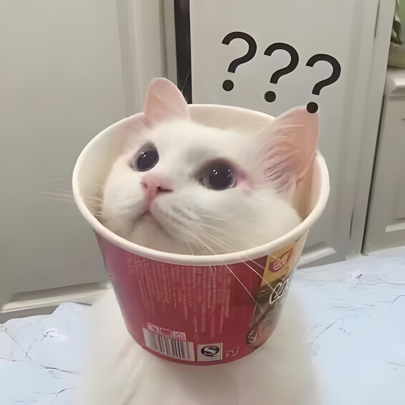 ai biết gì đâu meme 10