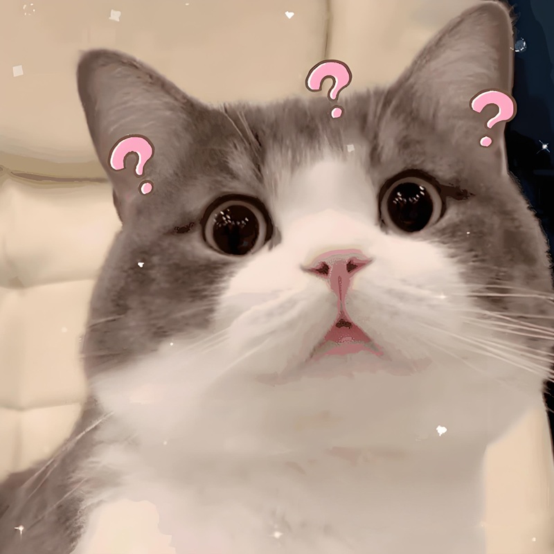 ai biết gì đâu meme 16