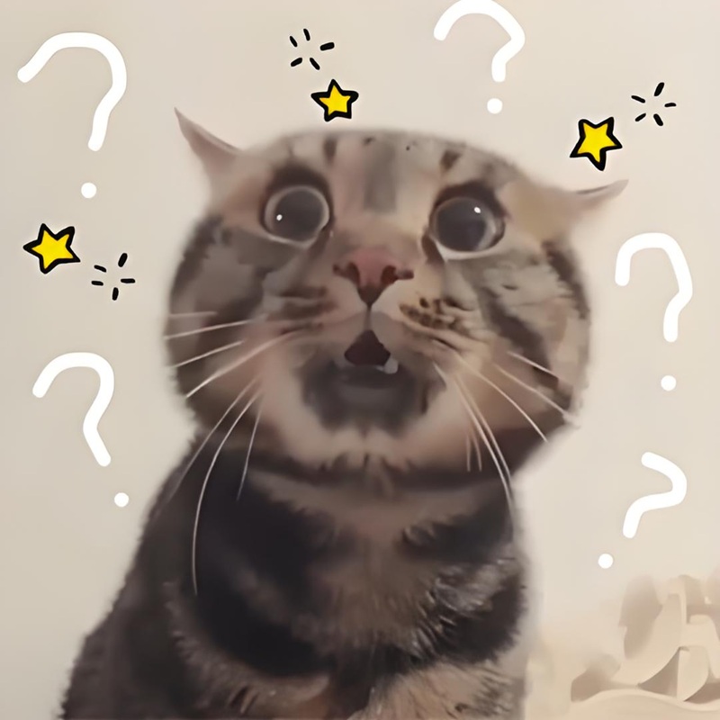ai biết gì đâu meme 17