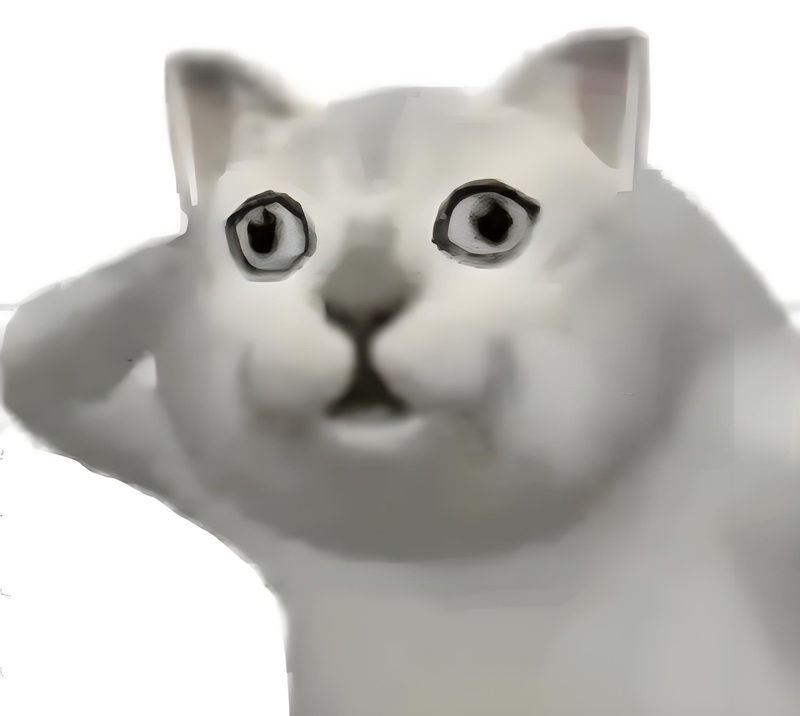 ai biết gì đâu meme 23