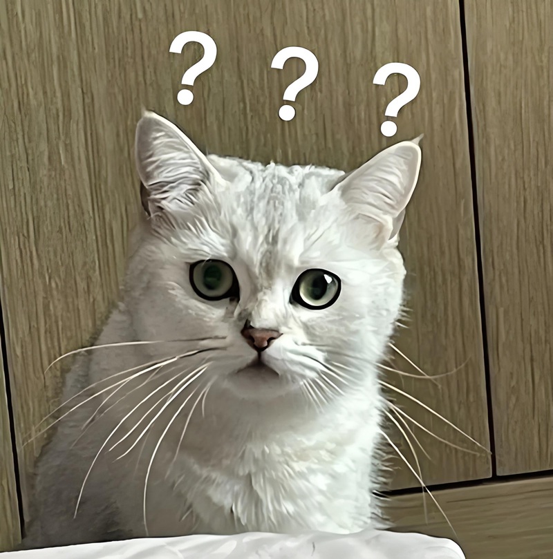 ai biết gì đâu meme 24