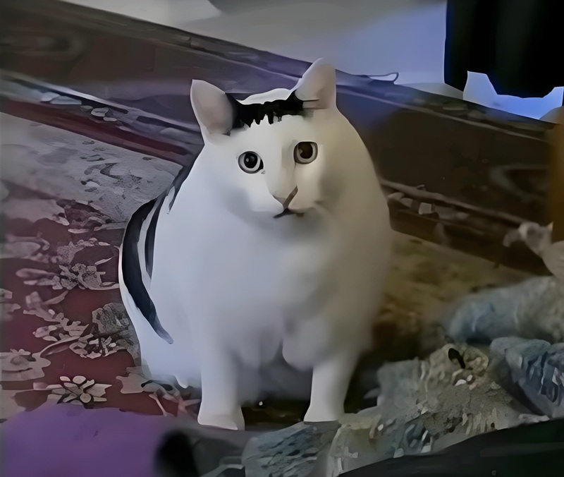ai biết gì đâu meme 26