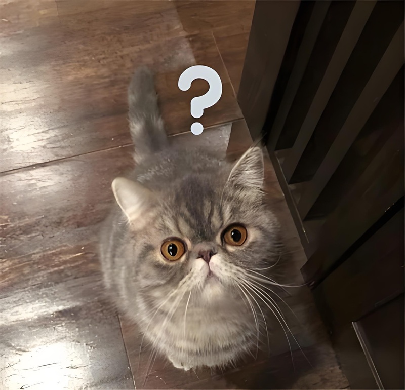 ai biết gì đâu meme 29