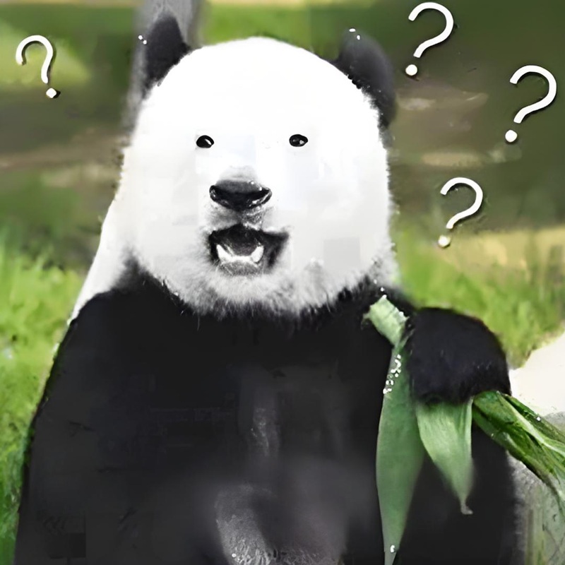 ai biết gì đâu meme 35