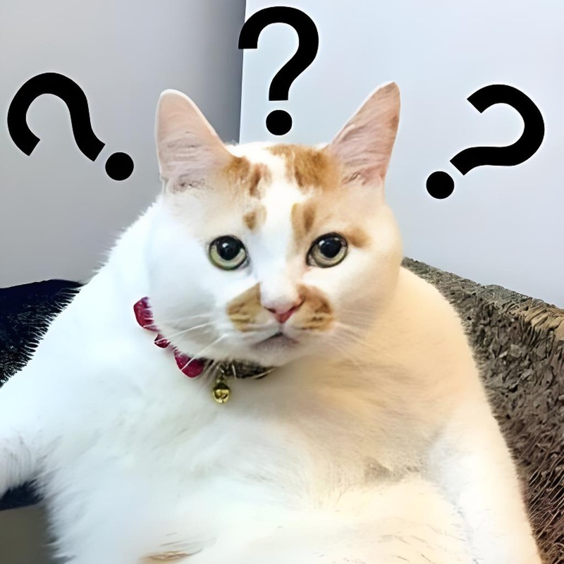 ai biết gì đâu meme 36