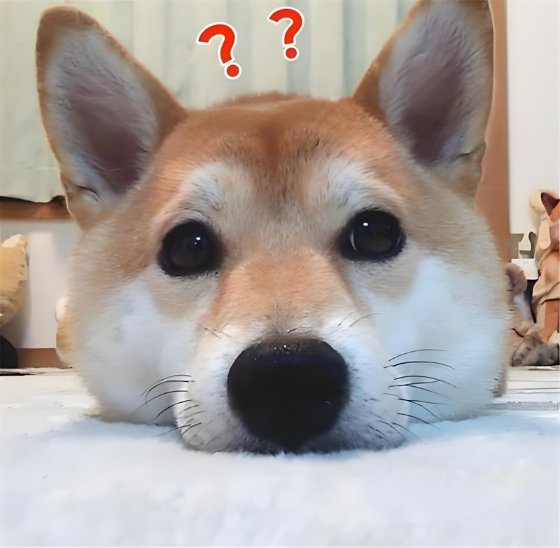 ai biết gì đâu meme 7