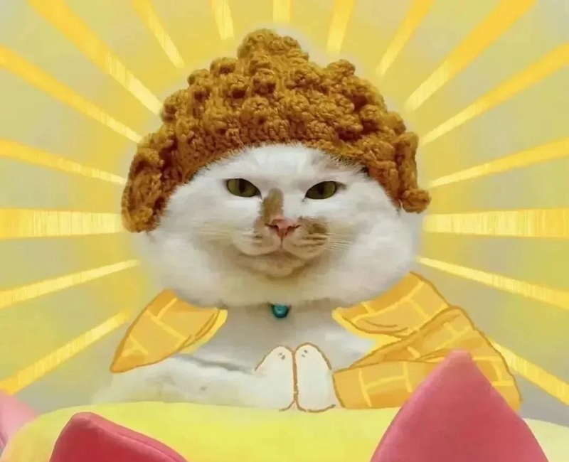 ảnh chế mô phật meme