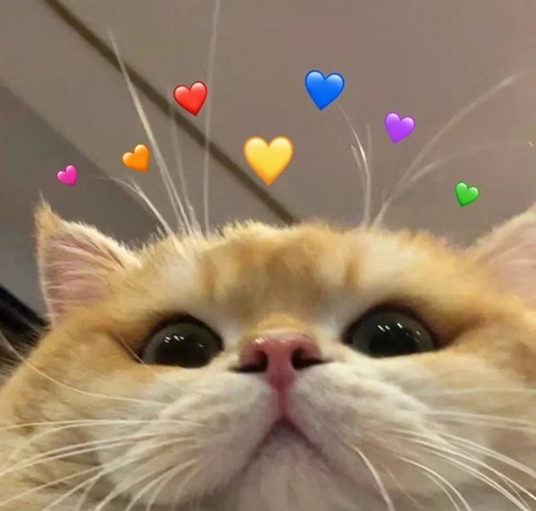 ảnh meme bất ngờ 22