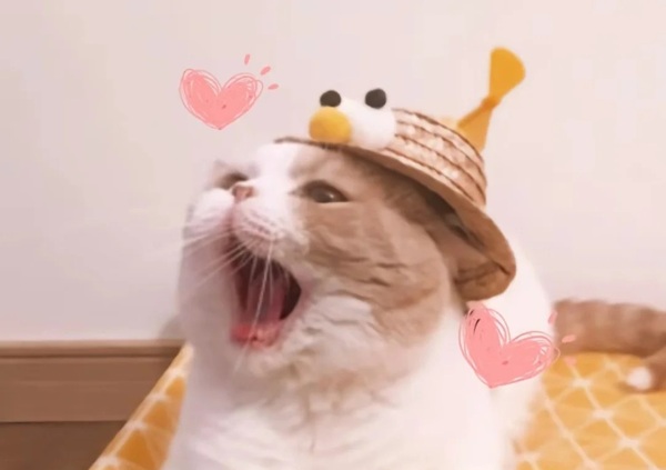 ảnh meme bất ngờ 31