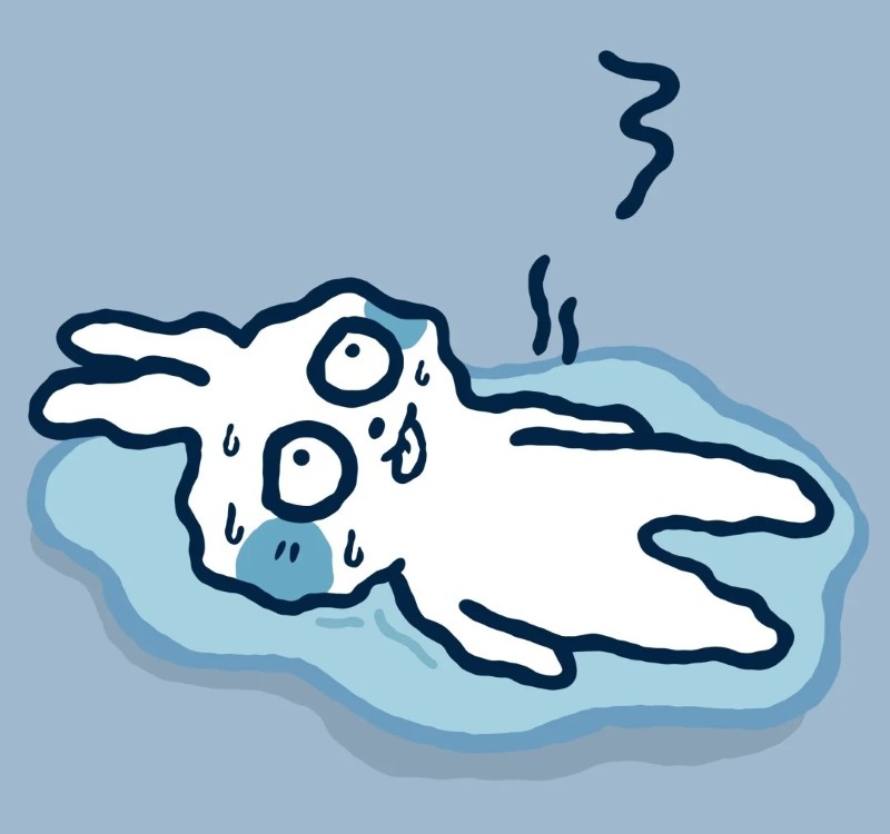 ảnh meme biến mất