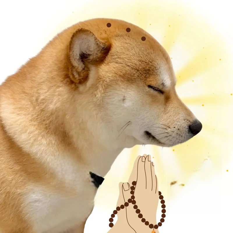 ảnh meme bình tĩnh