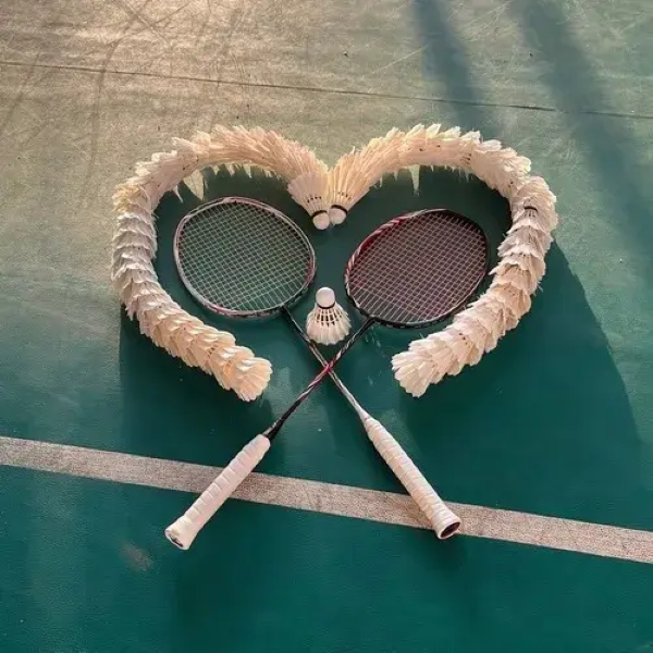 ảnh meme cầu lông