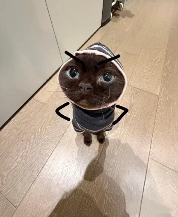 ảnh meme chống tay