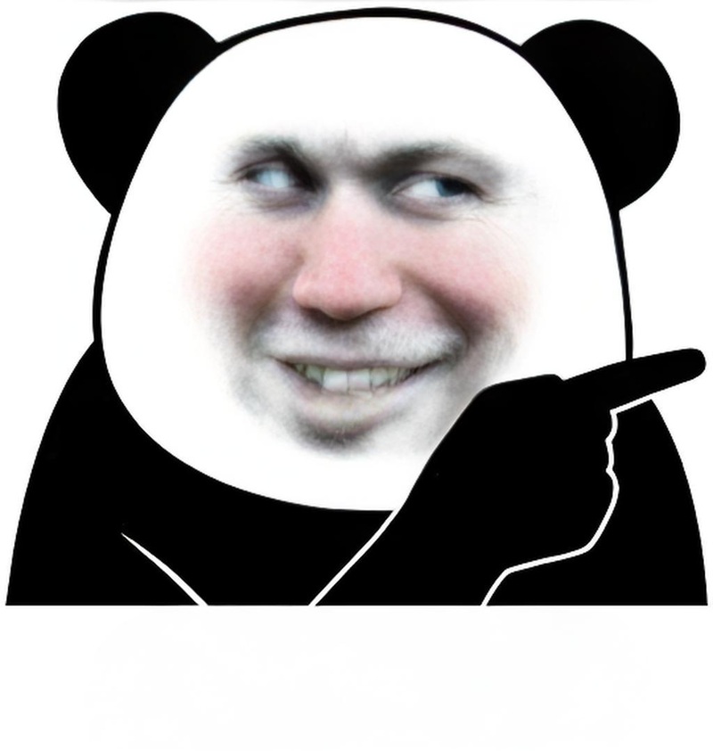 ảnh meme gấu trúc bựa