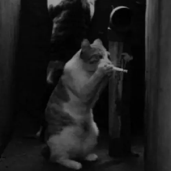 ảnh meme hút thuốc