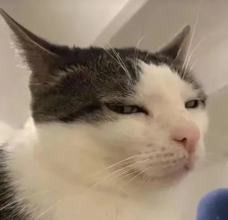 ảnh meme nhếch mép