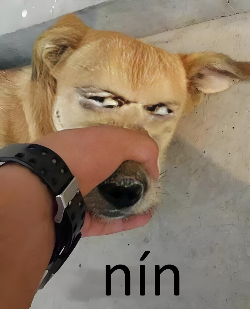 ảnh meme nín 10