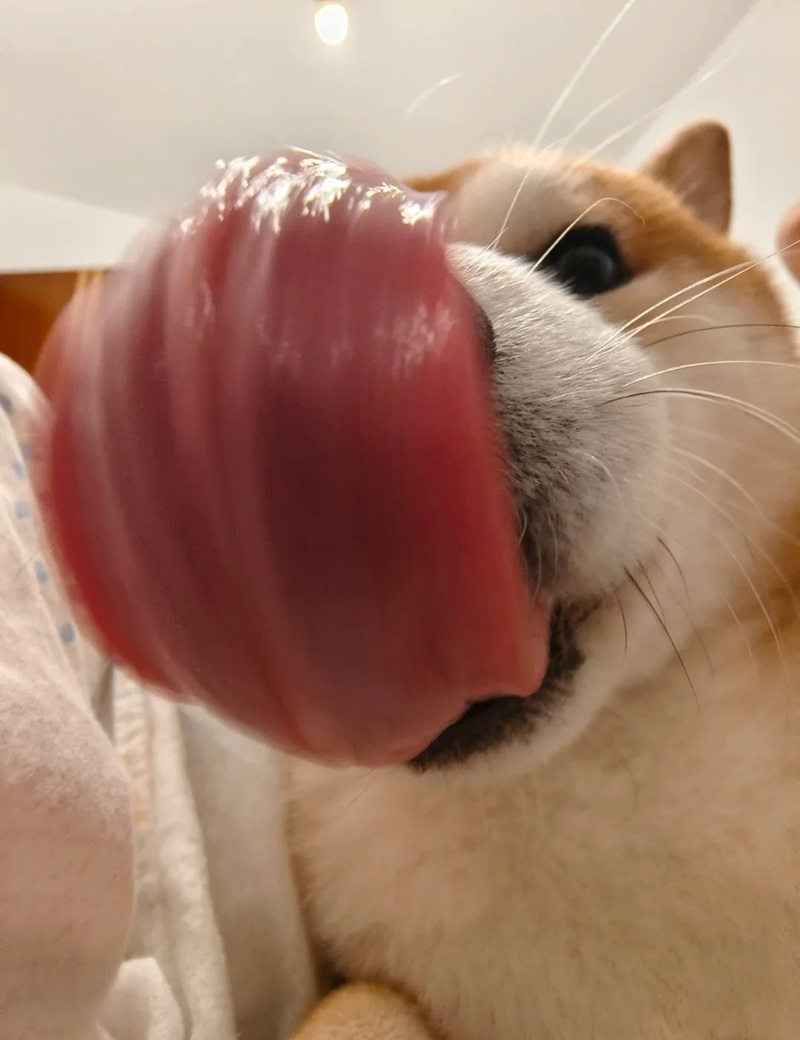 ảnh meme thèm thuồng