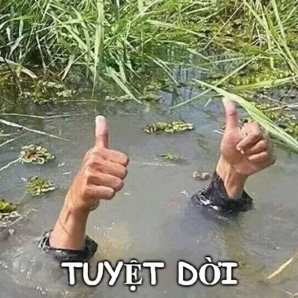ảnh meme tuyệt vời