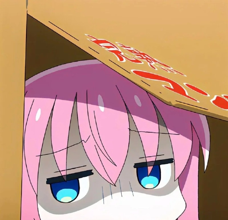 bocchi meme 33 bocchi meme 33