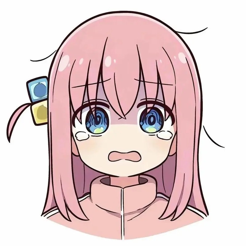 bocchi meme 9 bocchi meme 9