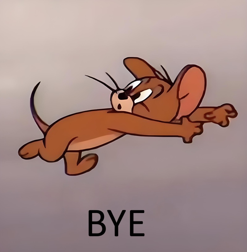 bye meme 18