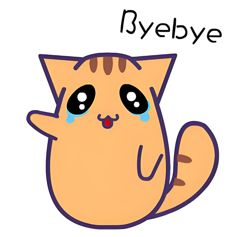 bye meme 21
