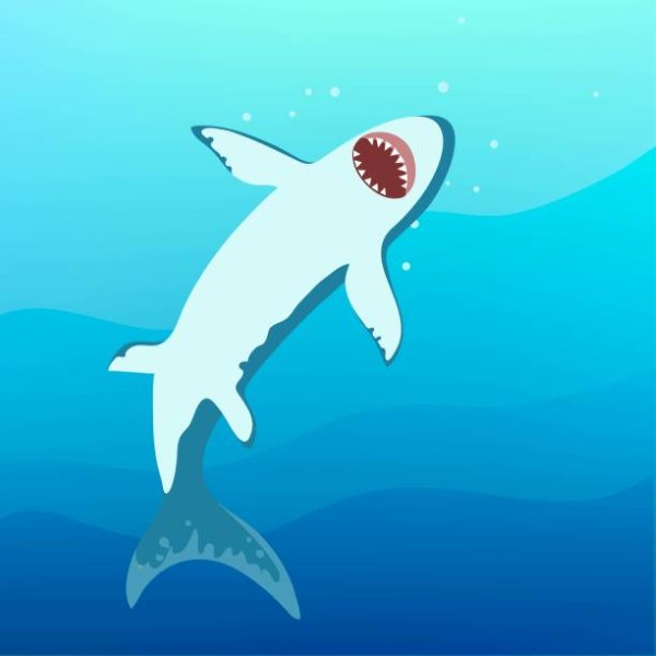 Angry shark on the sea underwater background. Vector original illustration